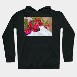 Celebrate Your Life Hoodie